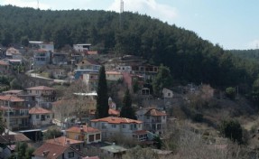Asırlık camiye ve ormanlarına gözü gibi bakıyorlar