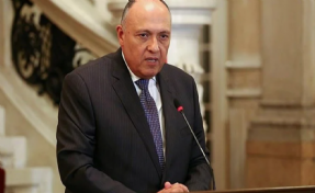 Mısır Dışişleri Bakanı Shoukry, Türkiye'ye geliyor