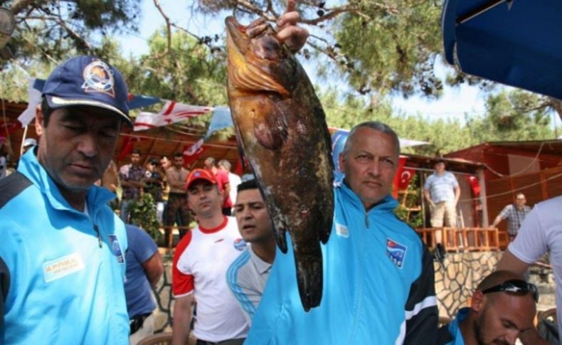 24 su altı takımı Büyükeceli'de yarıştı