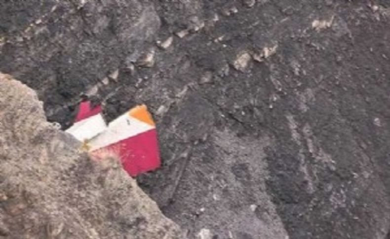 Fransa'da düşen uçakla ilgili şok iddia