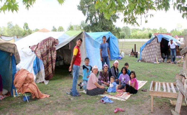 2 bin kişi Terme'ye fındık toplamak için geldi