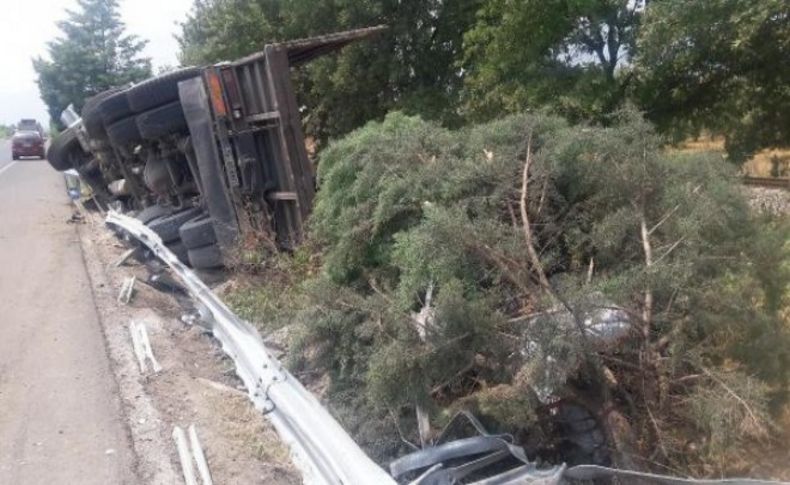 Köpeğe çarpmamak için kamyonu devirdi