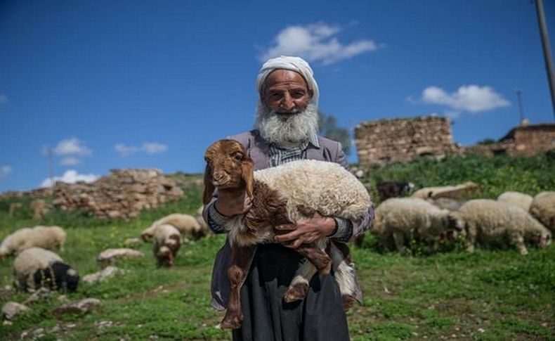 5 bin lira aylığa çoban bulamıyorlar