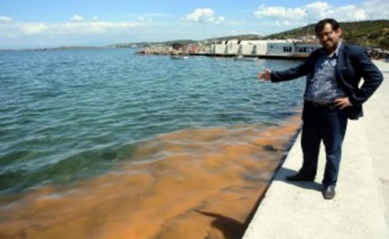 Deniz kirliliği sandılar bakın ne çıktı'