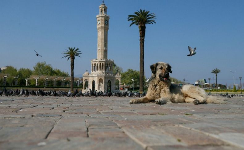 81 ilde sokağa çıkma kısıtlaması sona erdi