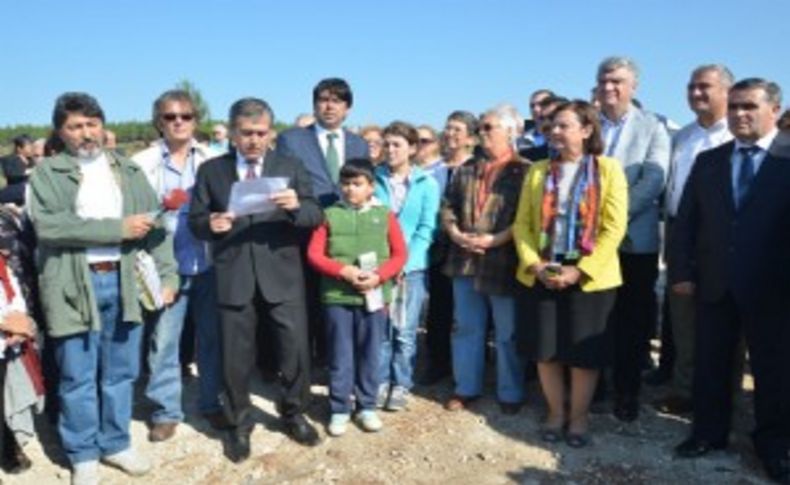 Foça'da ağaç katliamına tepki