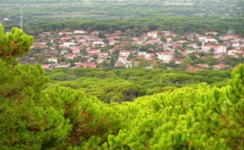 Fıstık cenneti rotasyon kurbanı