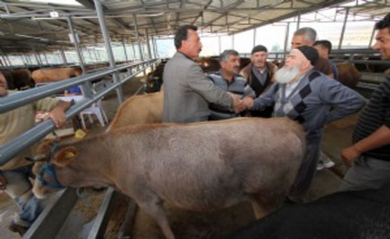 Karşıyaka Kurban Bayramı’na hazır