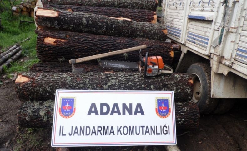 Adana'da ormanda kaçak kesim yapan iki kişi yakalandı