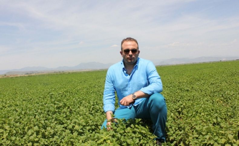 Adana’dan Almanya’ya tıbbi aromatik bitki ihracatı