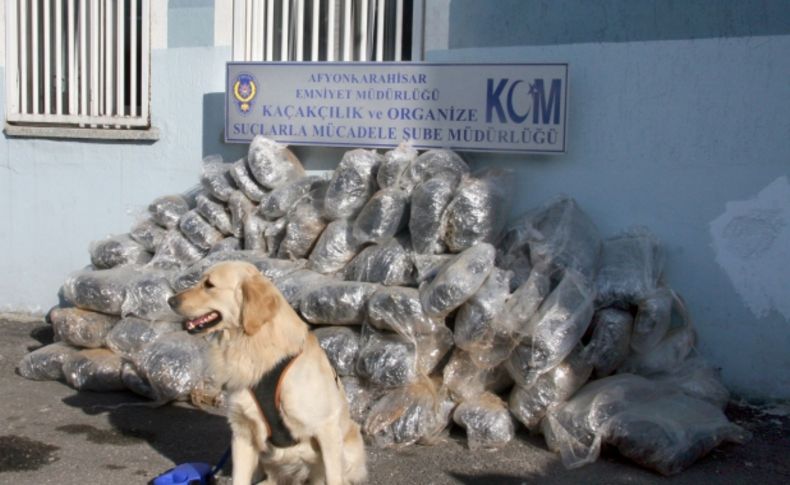 Afyon'da 165 kilogram esrar maddesi ele geçirildi