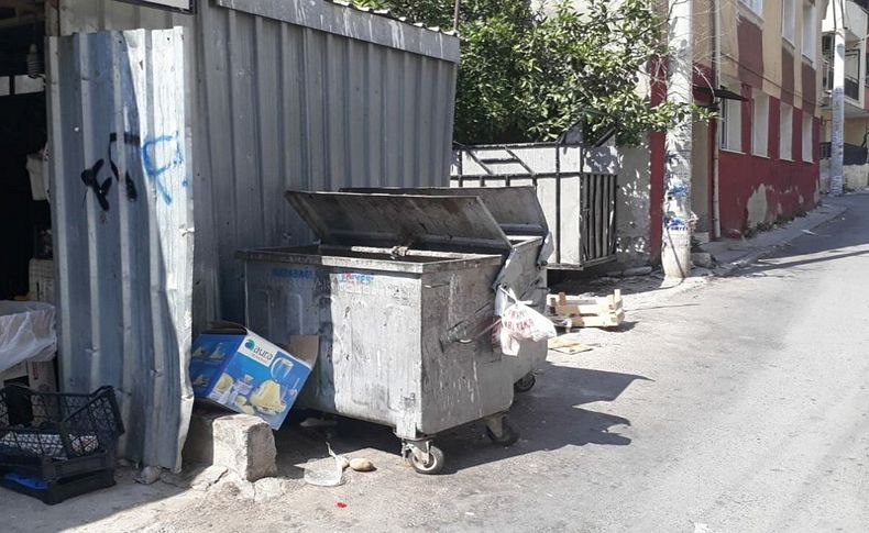 Ağaç altında bulundu