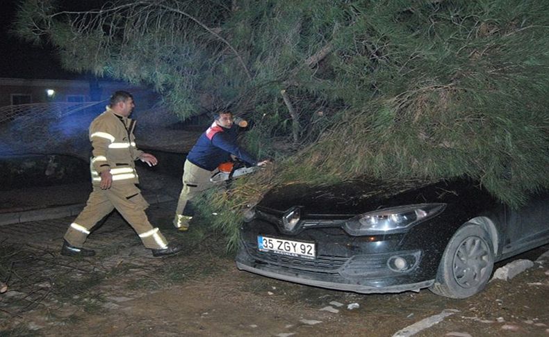 Ağaç otomobilin üzerine devrildi