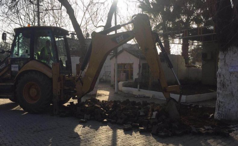 Arıkbaşı'ndaki ağaç krizine nokta kondu: Ağaçlar kesilmedi, taşındı!