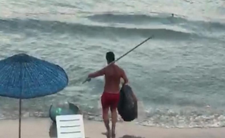 Ağaçları yakıp denize çöp dökmüştü: Mahkeme akıl hastanesine gönderdi
