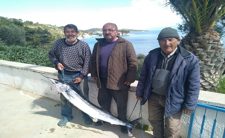 Ağına 40 kiloluk kılıç takıldı