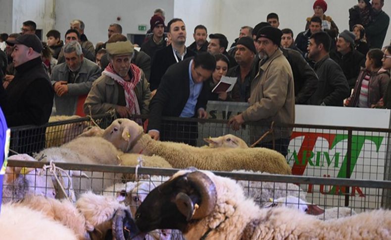 Agroexpo yarışmalarla renklendi