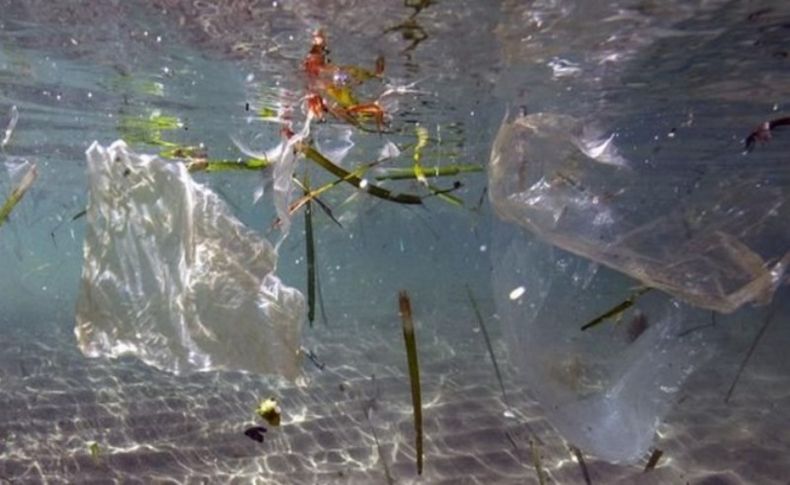 Akdeniz'de plastik facia uyarısı! Türkiye 3.sırada