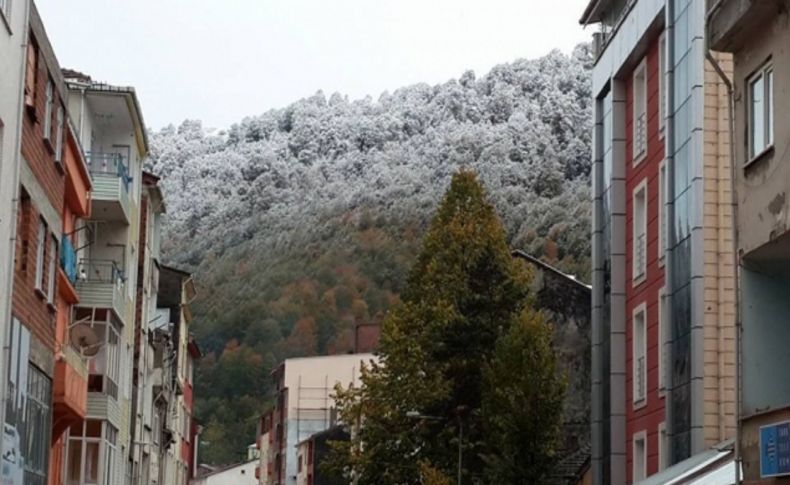 Akkuş’a yılın ilk karı yağdı