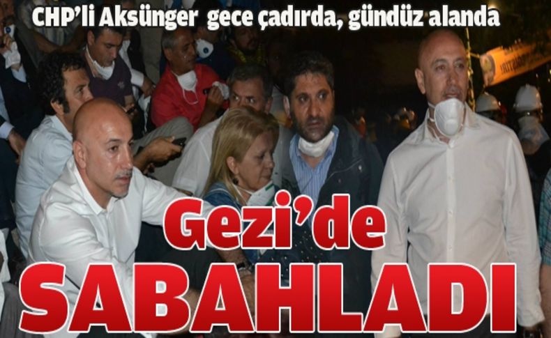 Aksünger Gezi'ye destek verdi