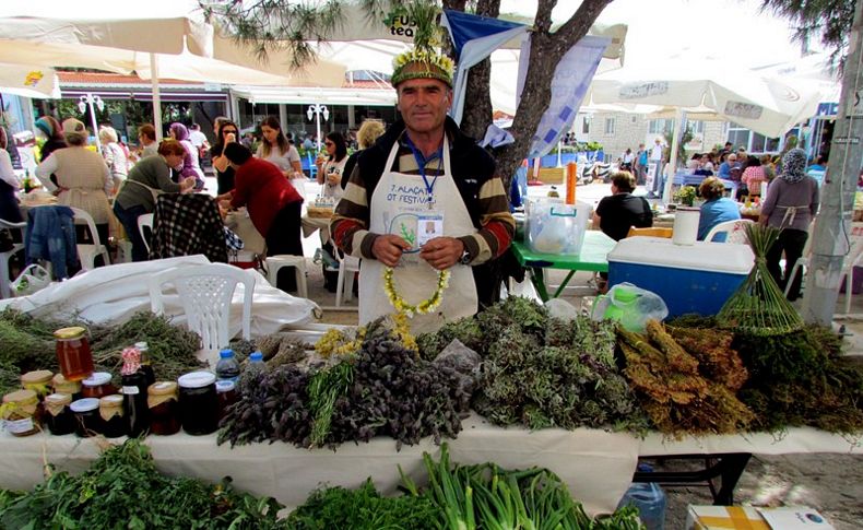 Alaçatı Ot Festivali için başvurular başladı