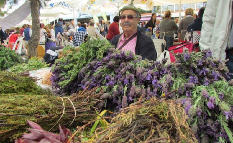 Alaçatı Ot Festivali için geri sayım