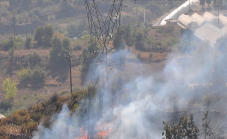 Alanya'da çıkan yangında seralar ve meyve ağaçları yandı