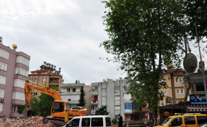 Alanya'da kamuya ait ağacın kesilmesine taksiciler izin vermiyor