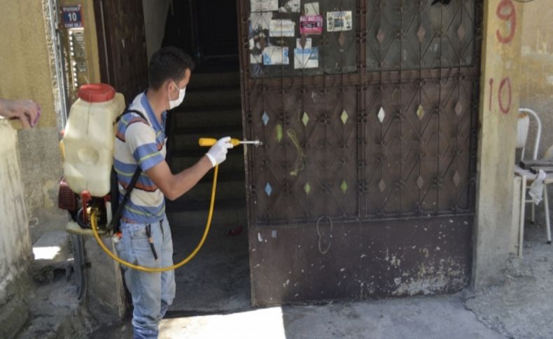 Alaplı’da haşerelere karşı ilaçlama yapılıyor