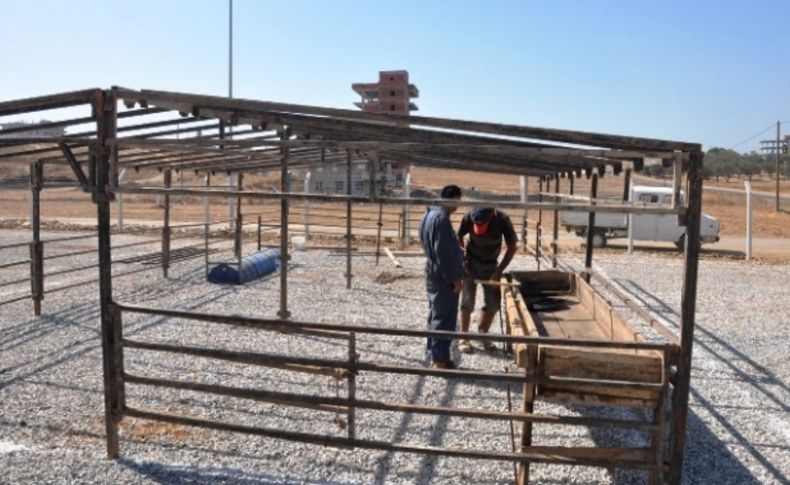 Aliağa’da Kurban Bayramı hazırlıkları başladı