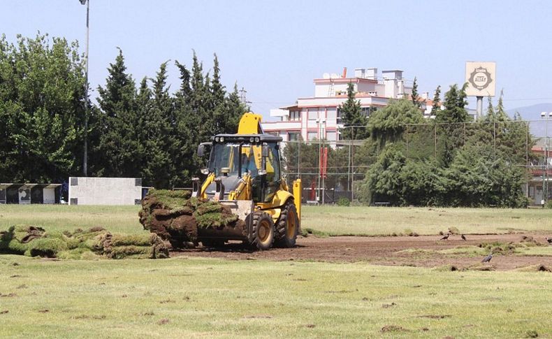 Altay'da sahalar yenileniyor