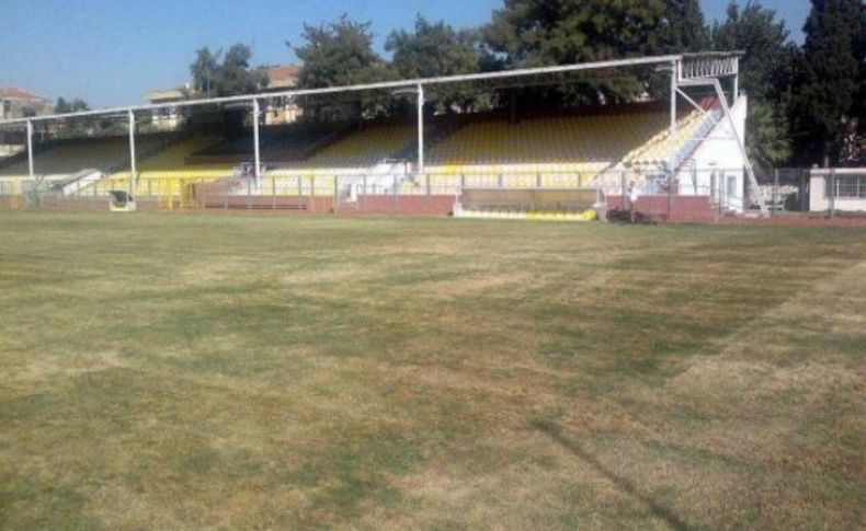 Altay'da stat sancısı