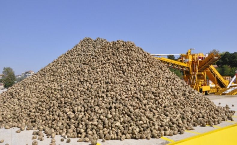 Amasya Şeker Fabrikası pancar alım kampanyası dularla başladı