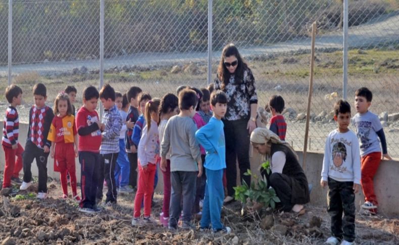 Anaokulu öğrencileri fidan dikti