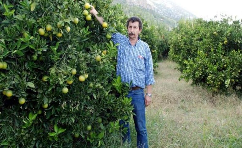 Antalya Bürosu'nun Bölge Haberleri (2)