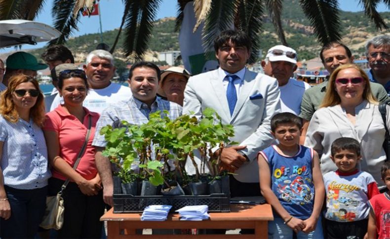 Foça'nın 'Antik Meyvesi', yeniden yetişecek