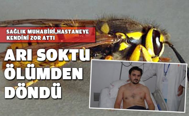 Arı sokmasını hafife almayın