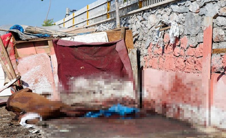 Konak Belediyesi halk sağlığını hiçe sayanları yakaladı: At eti operasyonu!