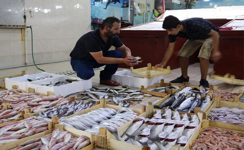 Av yasağı bitti, Foça'da balık bollaştı