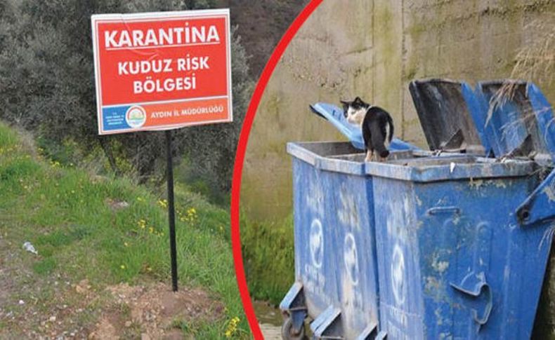 Aydın’da bir mahalle kuduz nedeniyle karantinaya alındı