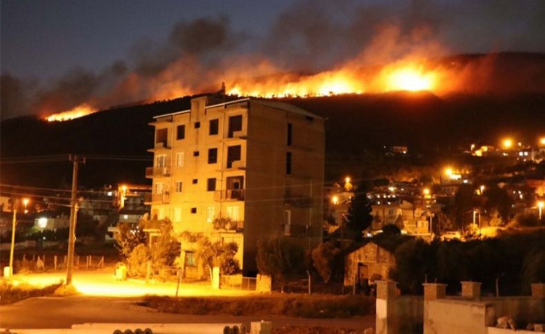 Aydın Söke'deki orman yangını kontrol altına alındı