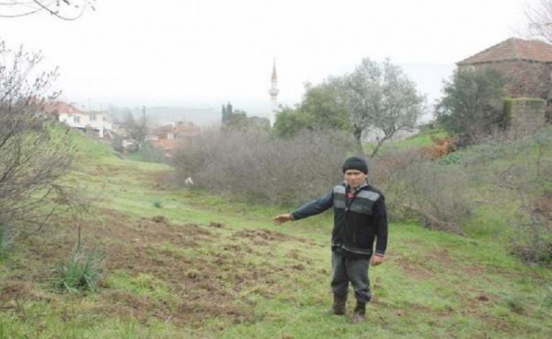 Aydın'da domuzlar köye indi