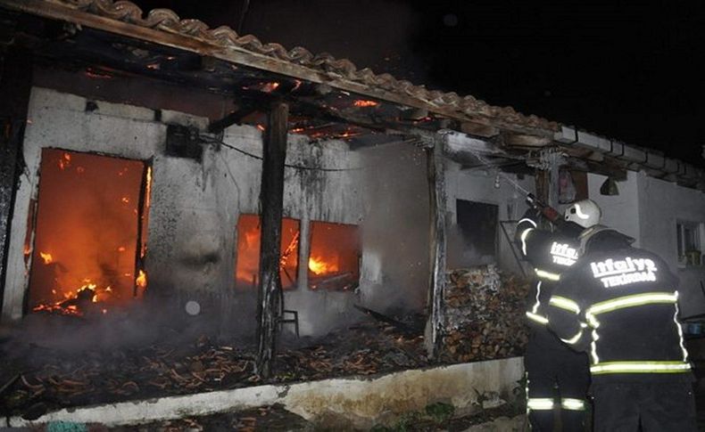 Bacadaki kuş yuvası evlerinden etti!