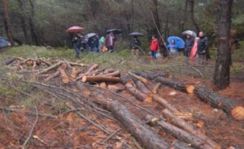 Acele kamulaştırmaya yargı freni