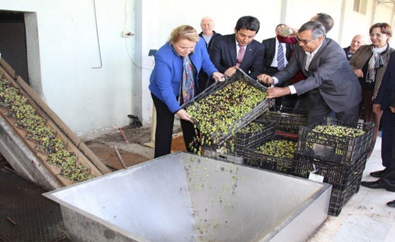 Urla Bademler Köyü'nde yılın ilk yağ sıkımı başladı