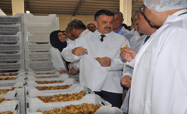 Bakan Pakdemirli, Aydın'da incir tesisini gezdi