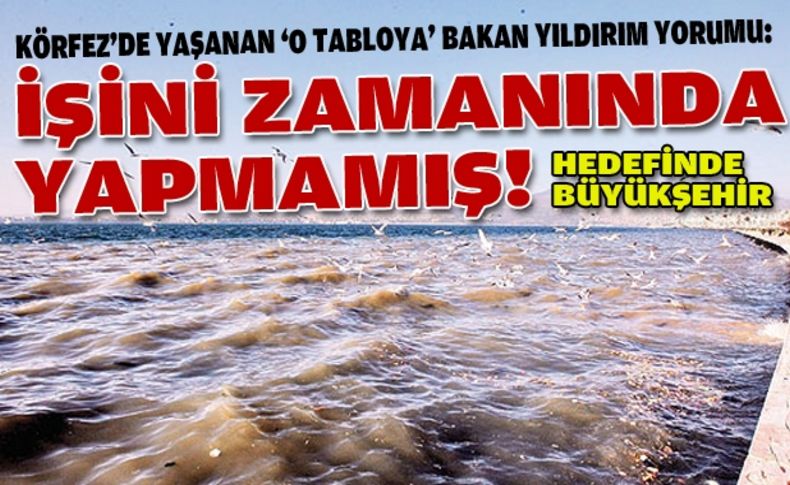 Bakan Yıldırım Körfez'de yaşanan 'o kirlilik' için Büyükşehir'i hedef gösterdi