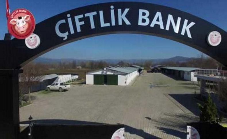 Bakanlık açıkladı! Yarım milyarlık vurgun