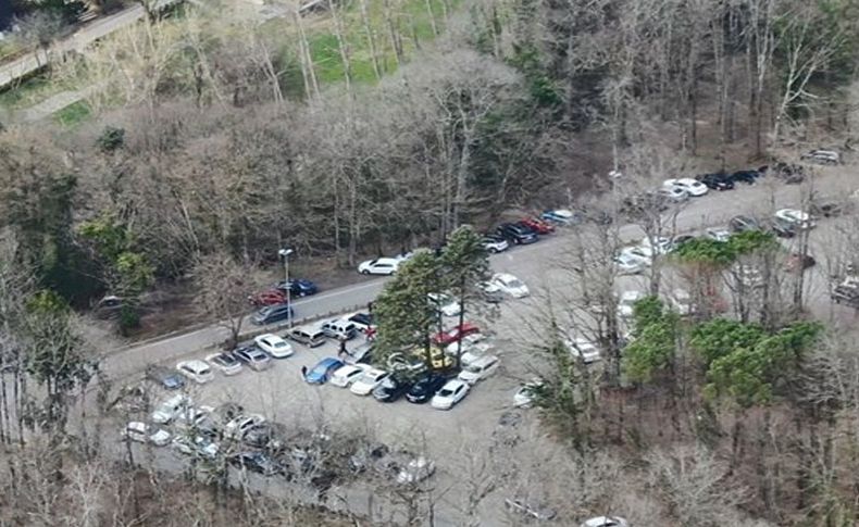 Bakanlıktan yeni önlem: Mangal ve piknik yasaklandı