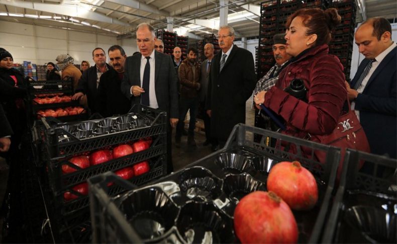 Bakıcı Deppo Efes'i tanıttı